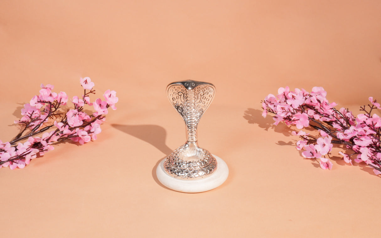 Naag Shakti Dual Burner